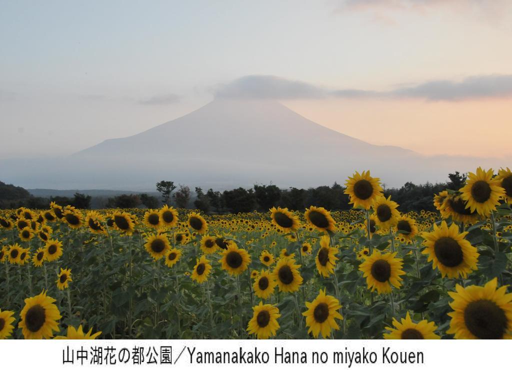 Pension Country Diary Яманакако Экстерьер фото